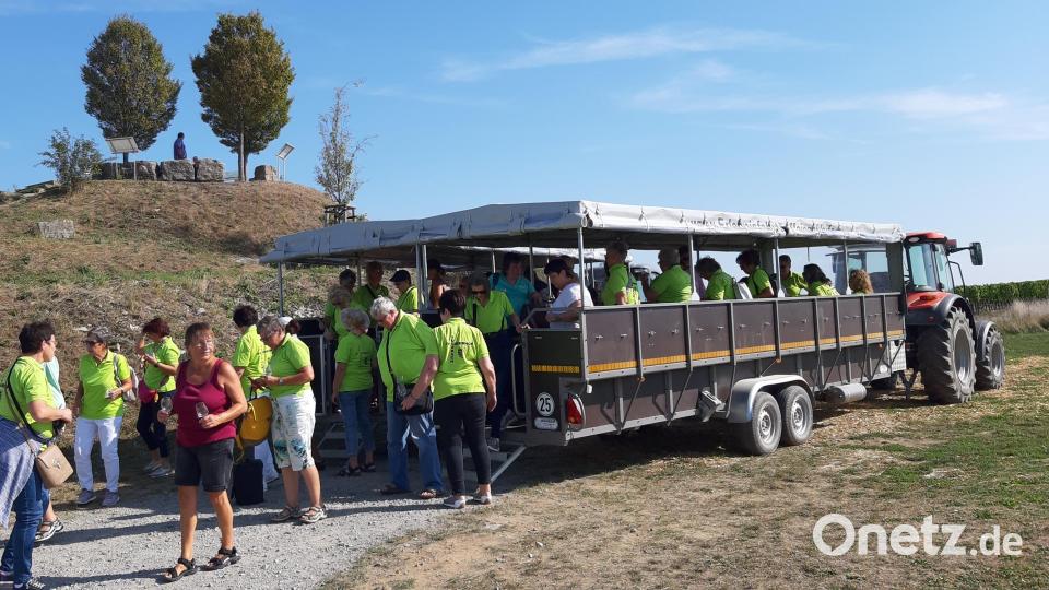 Ein Planwagen brachte die SVL-Damen in die Weinberge bei Volkach. Bild: dod