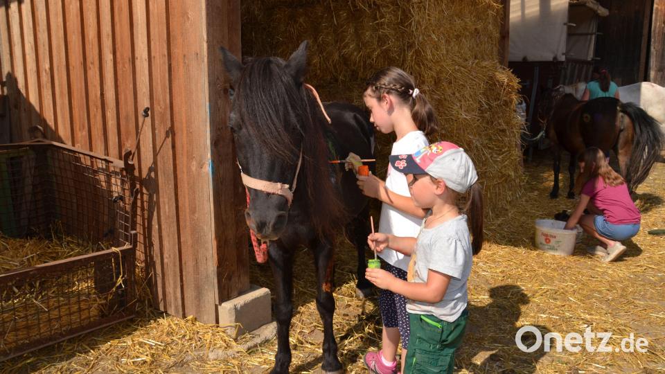 Erste Erfahrungen mit Pferden sammelten Kinder beim Ferienprogramm auf dem Remmerer-Hof. Bild: gi