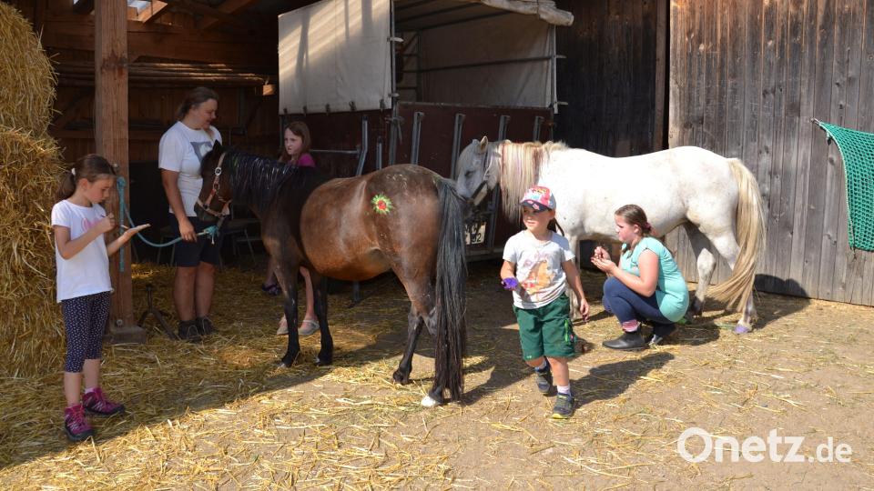 Mit Begeisterung haben die Mädchen die Ponys mit Fingermalfarben bemalt. Sie hatten sich brav alles über sich ergehen lassen. Bild: gi