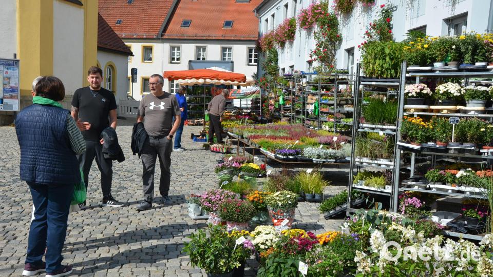 Überschaubar war am Sonntagnachmittag das Interesse am Mitterteicher Michaeli-Jahrmarkt. Nur wenig Kauflustige strömten durch die Budenstraße, um nach Schnäppchen Ausschau zu halten. Bild: jr