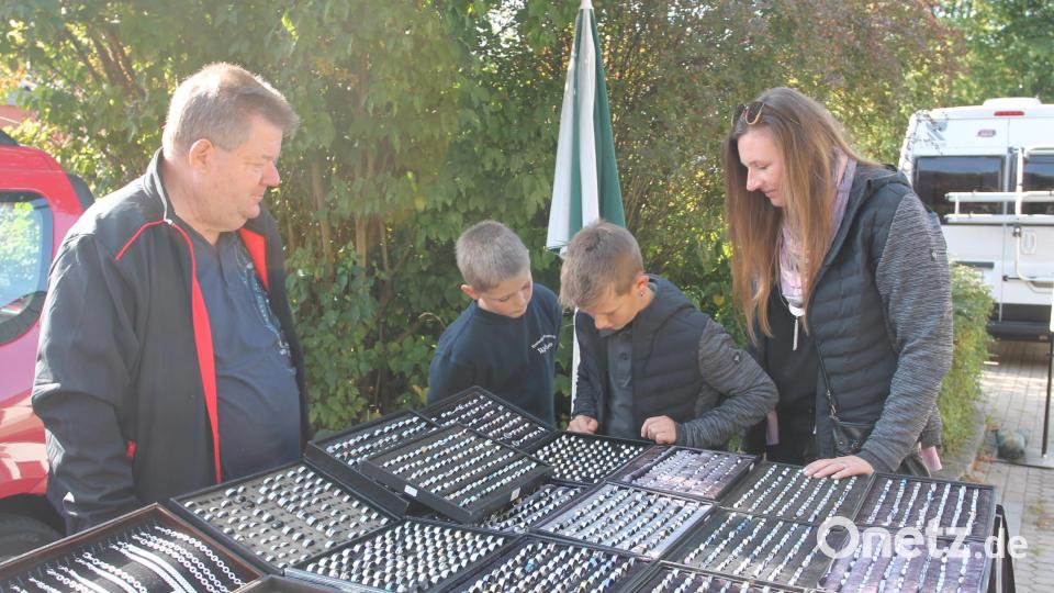 Die Qual der Wahl haben diese Jungs bei der Suche nach einem Ring. Bild: pi