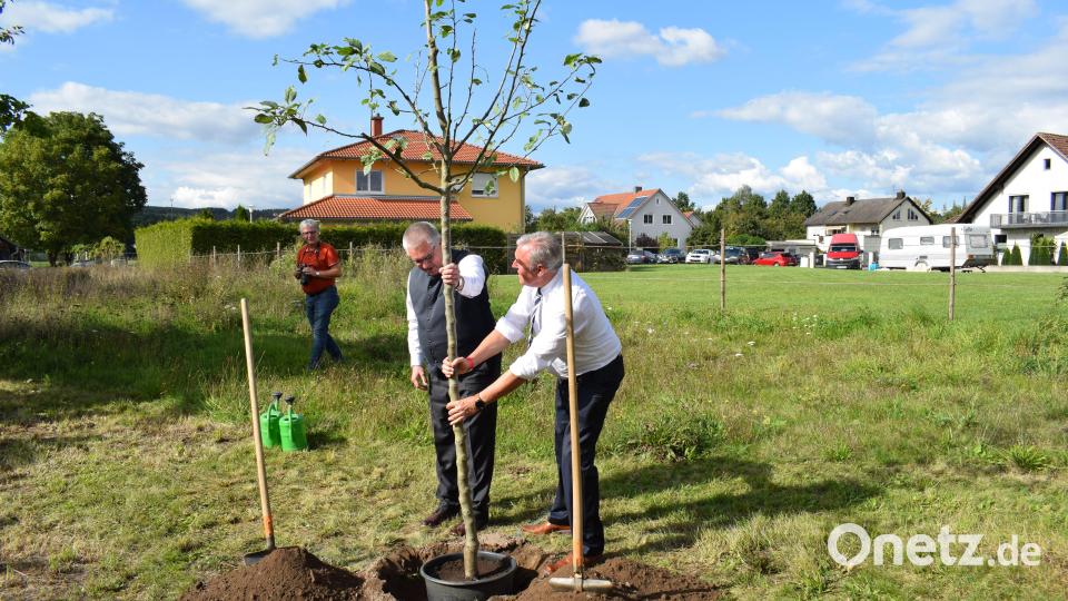 Als sichtbares Zeichen ihrer freundschaftlichen Partnerschaft pflanzten die beiden Bürgermeister einen Apfelbaum. Bild: bnr