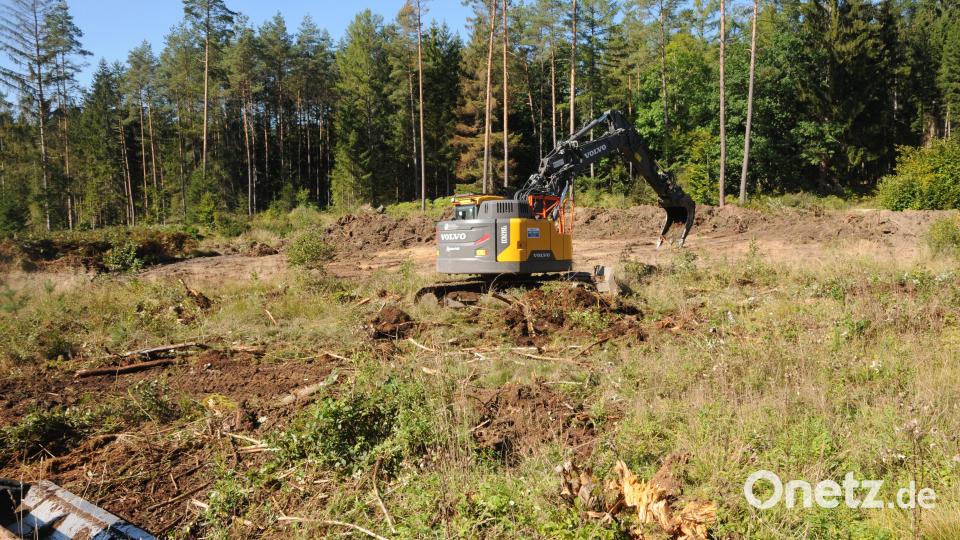 Der Bagger wird zwei Wochen gut zu tun haben, das Gelände vorzubereiten. Bild: ge
