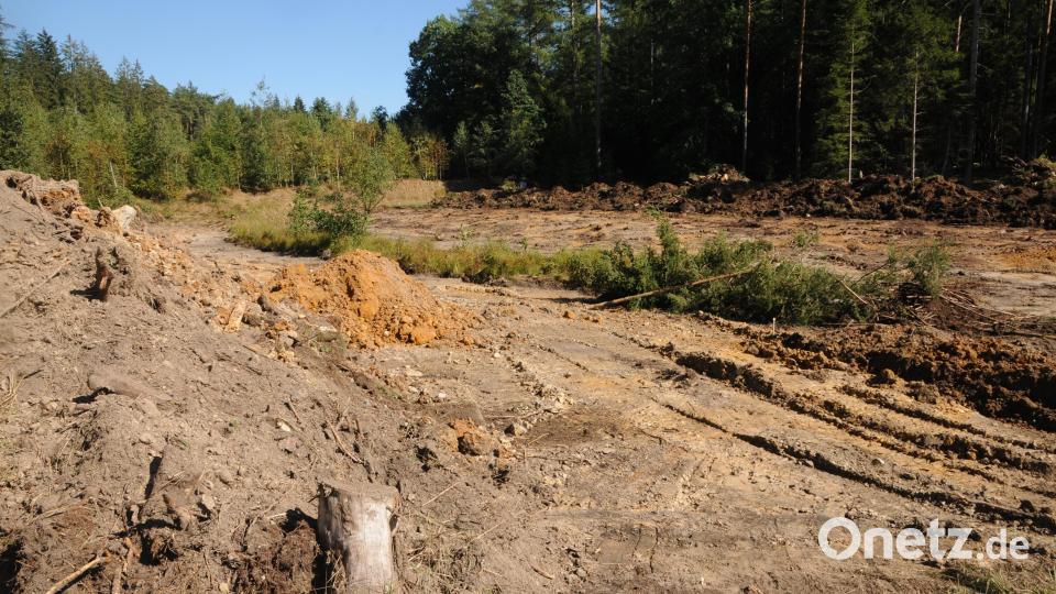 Eine riesige Fläche ist schon vom Humus befreit und lässt die Ausmaße der Weiher erahnen. Bild: ge