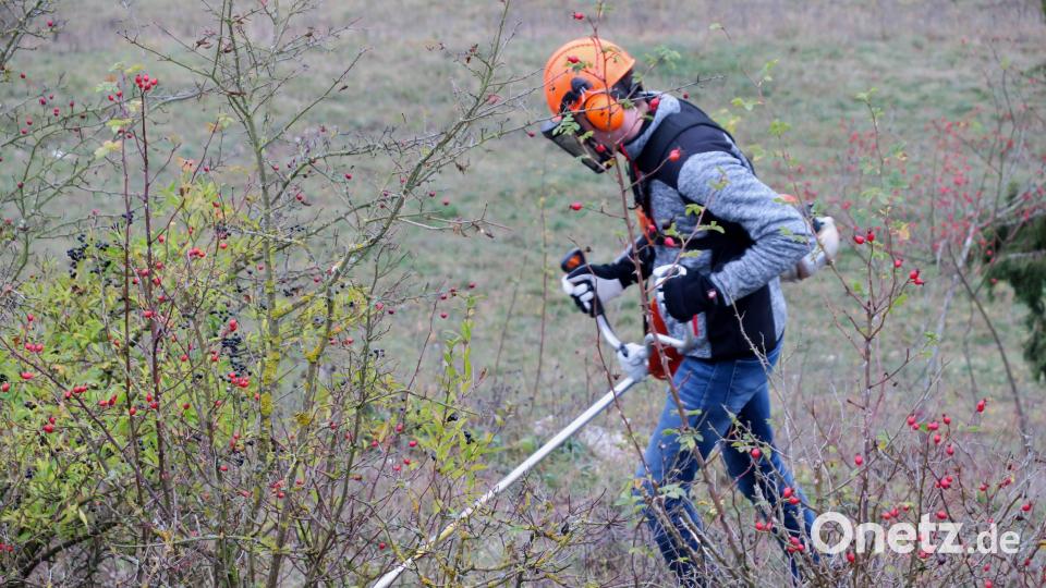 Landwirte und Landschaftspflegeverbände sind aufgerufen, die schutzwürdigen Gebiete mit naturnahen Maßnahmen zu bearbeiten. Bild: Hirsch