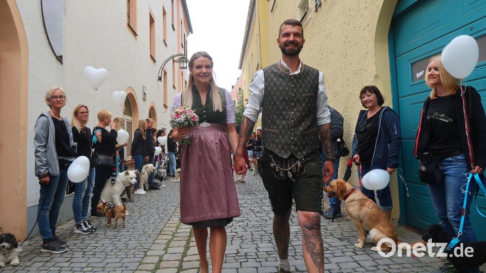 Ein Spalier aus 60 Hunden und in der Mitte das Brautpaar Stephanie Berthold und Johannes Stilp. Bild: Kunz