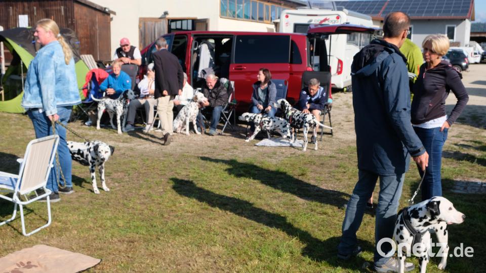 Gespannt warteten die Züchter mit ihren edlen Vierbeinern auf den Aufruf zum Prüfungslauf Bild: do