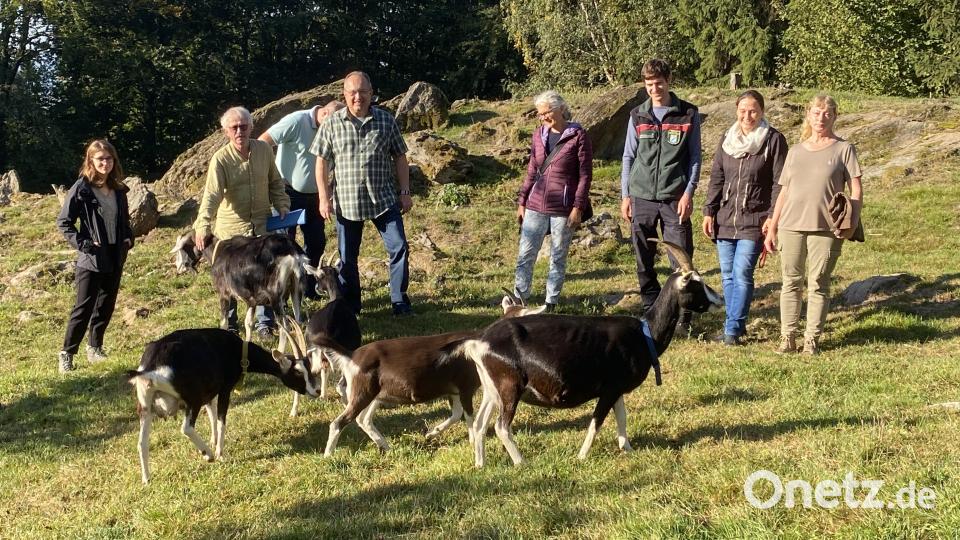 Erweiterte Ziegenweide am Geologischen Lehrpfad mit den Umsetzungspartnern. Von links: Nathalie Ingerl, Toni Wolf, Johann-Peter Wiesent, Ludwig Gürtler, Anne Wendl, Lukas Rupprecht, Claudia Rückerl , Irmi Schwarz. Im Vordergrund sind die zutraulichen Ziegen zu sehen. Bild: Josef Glas