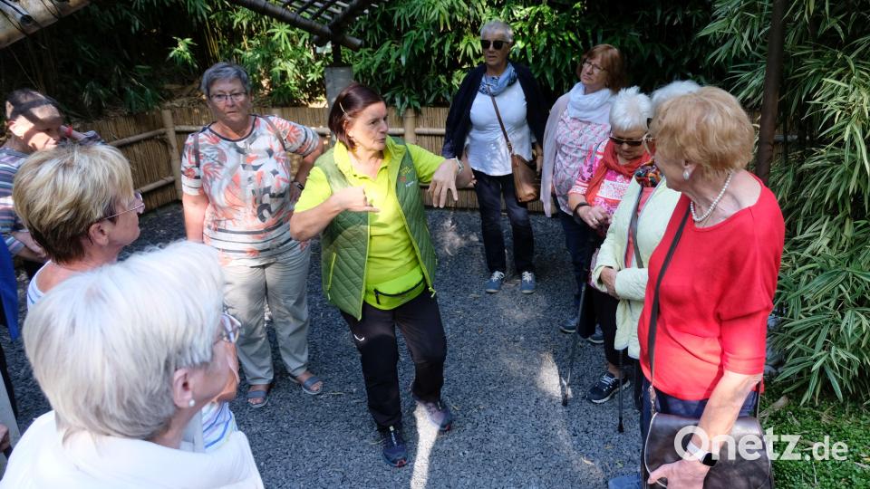 In den Gärten vom Schloss Trautmannsdorf: Pflanzenexpertin Agnes ( im grünen T- Shirt) erklärt die wunderbare Botanik und erklärt wissenswertes über Fora und Fauna Bild: Hirsch/exb