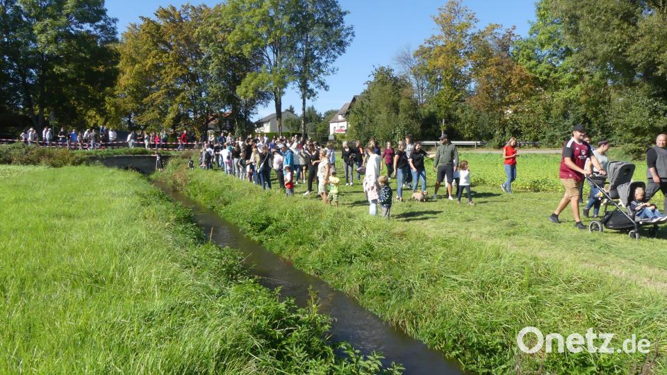 Entenrennen Bild: rn