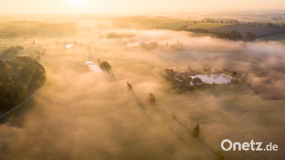 Nebelschwaden zwischen Triebendorf und Hurtingöd. Bild: Matthia Kunz