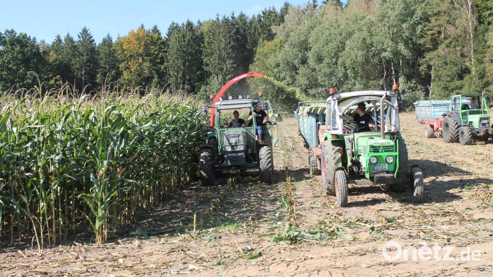 Bei der Häckselvorführung geht es problemlos zu. Bild: pi