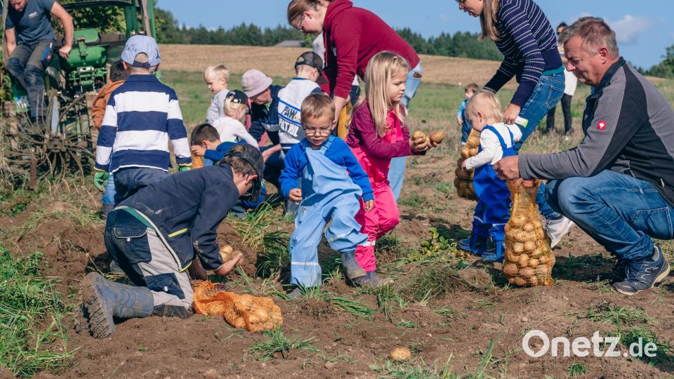 &quot;Erdäpflgrom&quot; hieß es wieder auf Einladung des OWV Beidl. Bild: Karl Dietz/exb