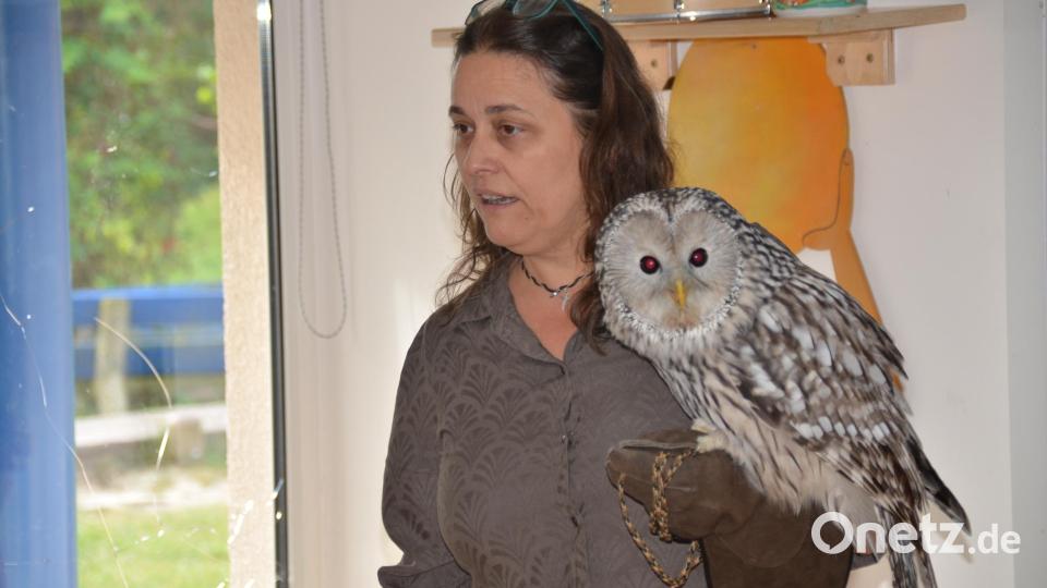 Michaela Domeyer mit ihrem Habichtkauz &quot;Birke&quot;. Bild: ak