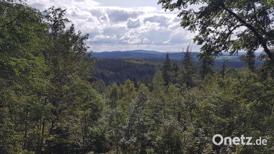 Der Blick vom Haselstein nach Süden. Bild: Bürgerinitiative Plößberg/exb