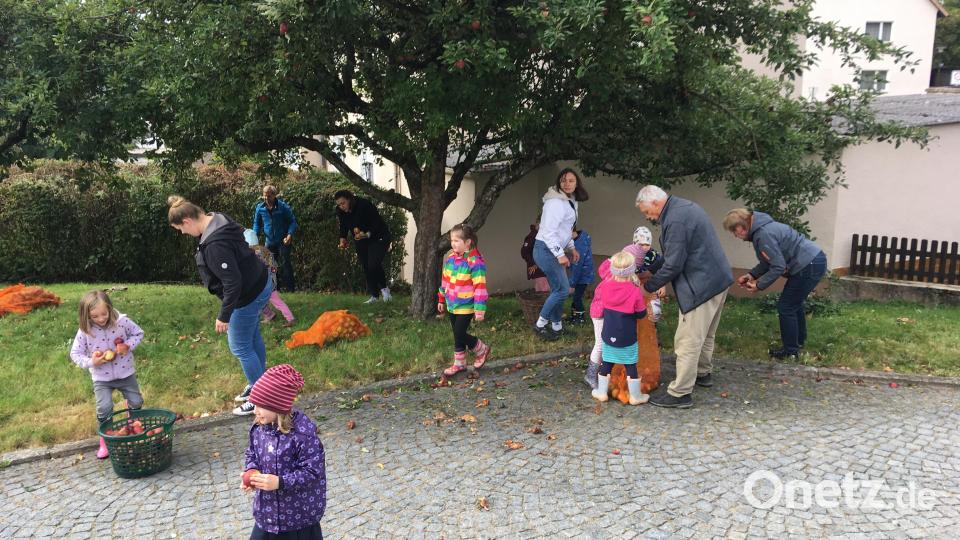 „Viele Hände, ein schnelles Ende“ sagt der Volksmund. Nach einer Stunde konnten 5 Zentner Äpfel gesammelt werden. Bild: cro