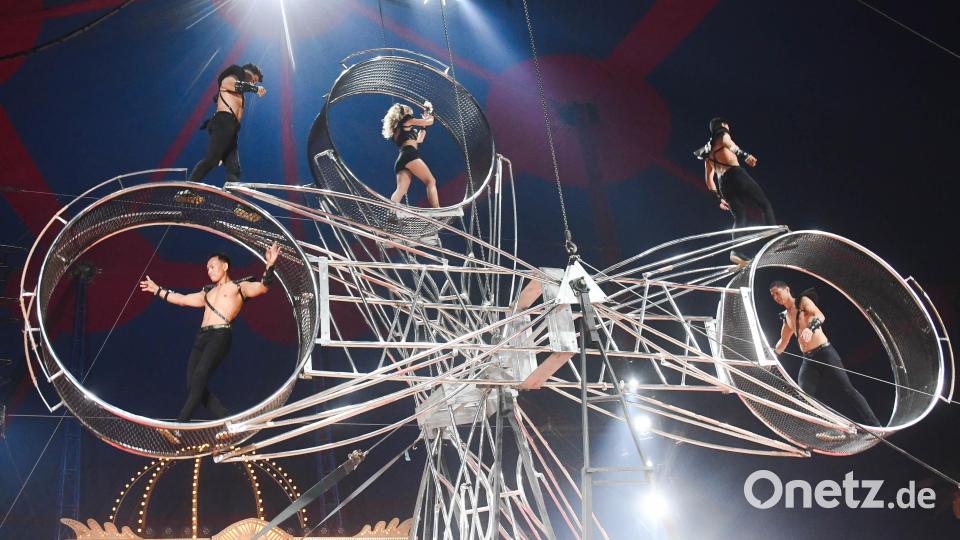 Circus Krone begeistert die Zuschauer. Bild: Gabi Schönberger