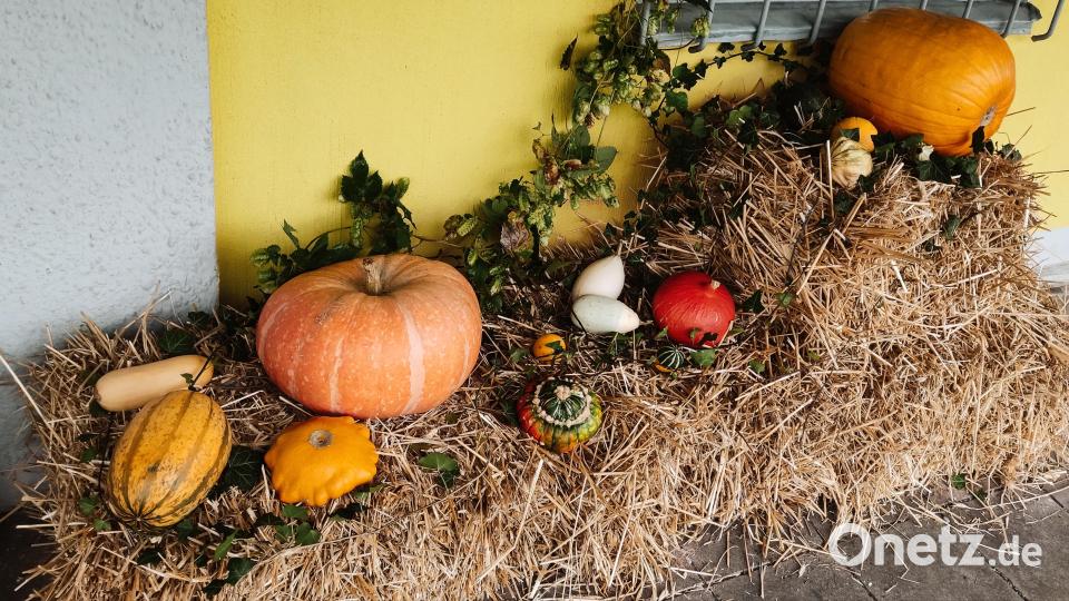 Die herbstliche Deko war ganz dem Thema Kürbis gewidmet Bild: jsa
