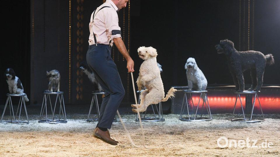 Circus Krone begeistert die Zuschauer. Bild: Gabi Schönberger