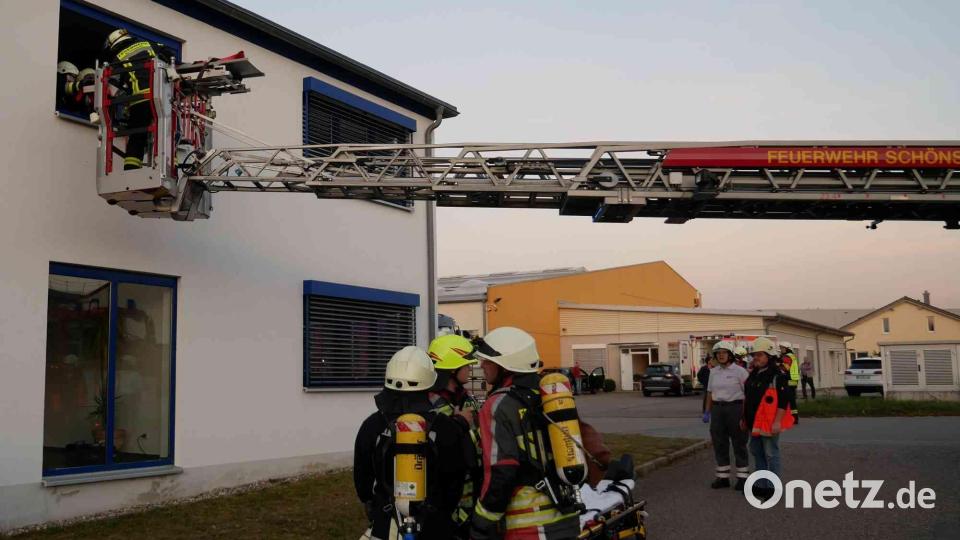 Mit der Feuerwehrleiter retten die Einsatzkräfte eine vermisste Person (Puppe) aus dem ersten Stock gerettet. Bild: gz