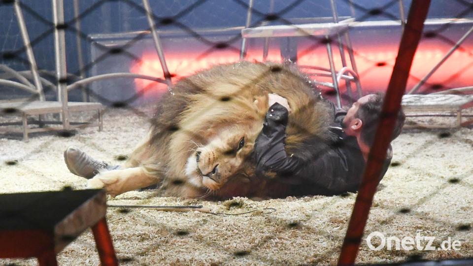 Circus Krone begeistert die Zuschauer. Bild: Gabi Schönberger