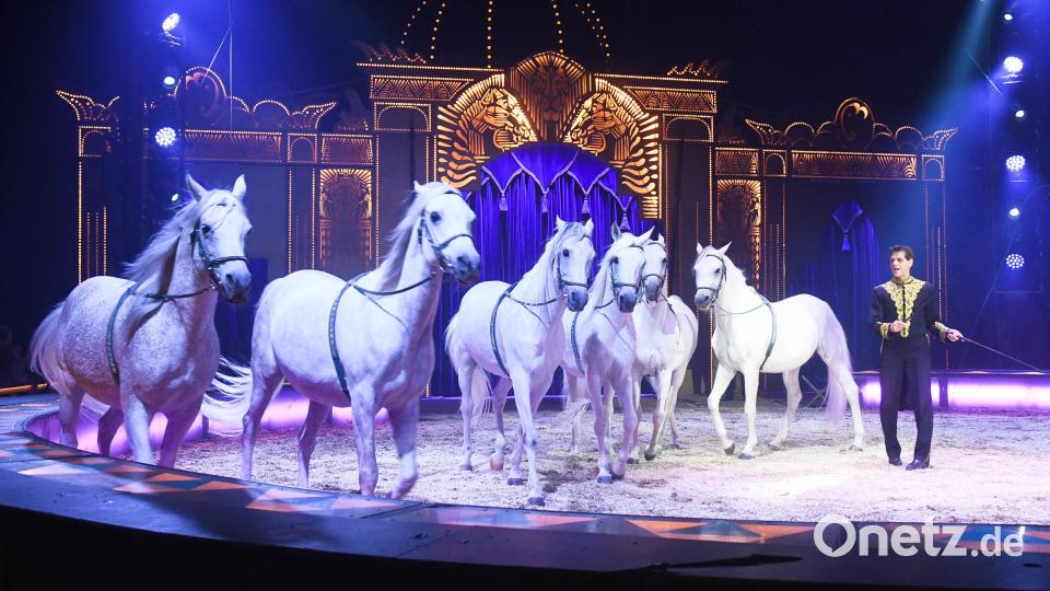 Circus Krone begeistert die Zuschauer. Bild: Zirkus Krone