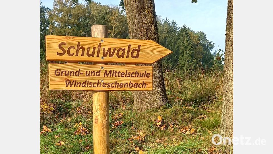 Hier geht&#039;s zum Schulwald. Bild: Spreitzer/exb