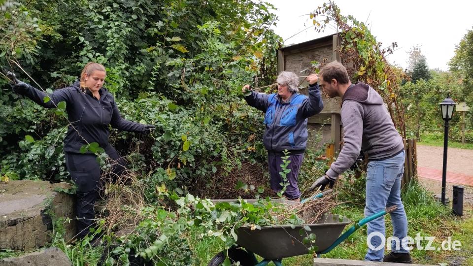 Mitarbeiter des Amts für Ländliche Entwicklung unterstützten das Kultur- und Begegnungszentrum Waldsassen bei der Gartenarbeit. Bild: Landratsamt Tirschenreuth/exb