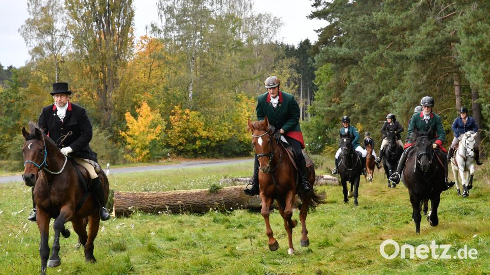 Die Kurfürstliche Schleppjagd in Amberg ist ein Ereignis für Ross und Reiter sowie Zuschauer. Bild: Petra Hartl