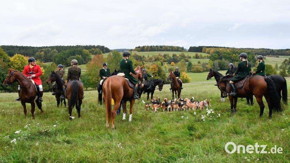 Die Kurfürstliche Schleppjagd in Amberg ist ein Ereignis für Ross und Reiter sowie Zuschauer. Bild: Petra Hartl