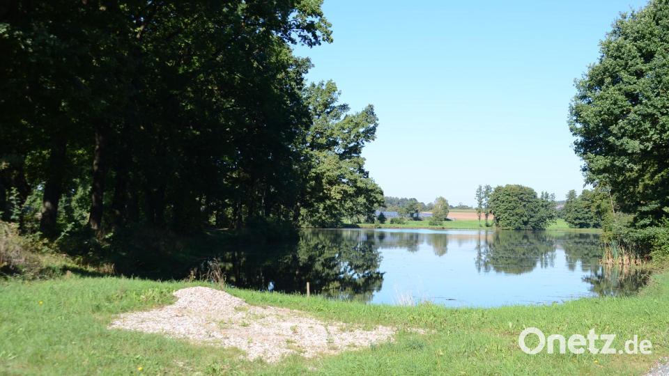 Der Hammerweiher versorgt zusammen mit dem Mühlbach die Wasserkraftturbine im der alten Kunstmühle. Bild: ak