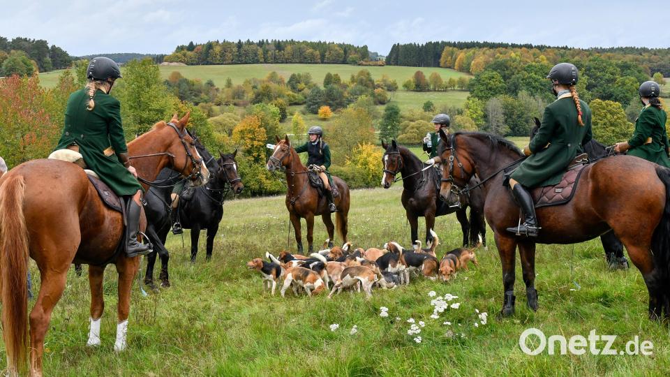 Die Kurfürstliche Schleppjagd in Amberg ist ein Ereignis für Ross und Reiter sowie Zuschauer. Bild: Petra Hartl