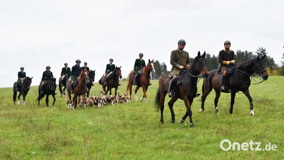 Die Kurfürstliche Schleppjagd in Amberg ist ein Ereignis für Ross und Reiter sowie Zuschauer. Bild: Petra Hartl