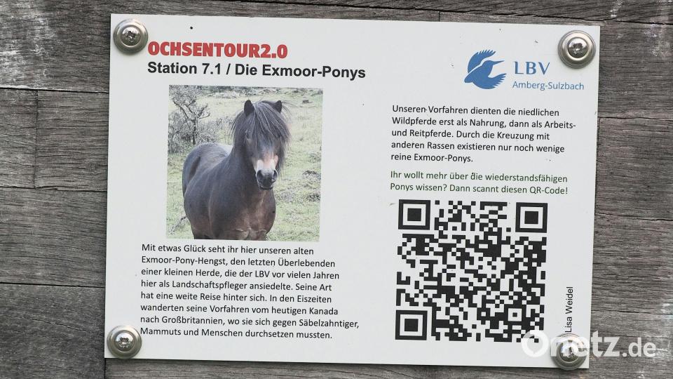 Informationen über die Texte und Bilder auf den Tafeln hinausreichen, vermittelt der QR-Code. Bild: kek