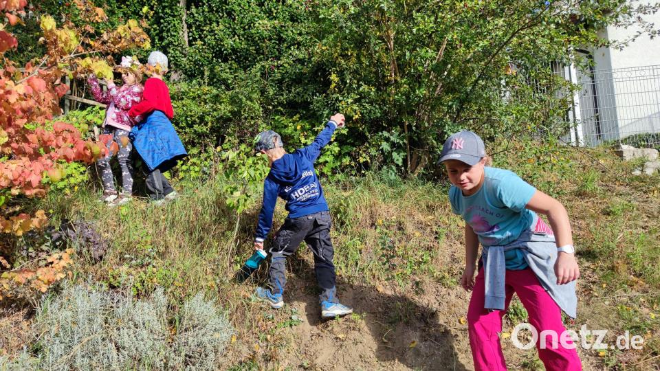 Die Kinder auf der Suche nach Hagebutten. Bild: Gertrud Burger/exb