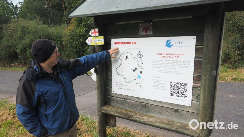 Peter Eckert vom Landesbund für Vogelschutz zeigt die Übersichtstafel des Rundwanderwegs „Ochsentour 2.0“. Bild: kek