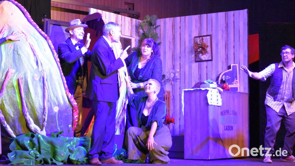 Der kleine Horrorladen, gespielt vom OVIGO-Theater in der Grafenwöhrer Stadthalle Bild: rgr