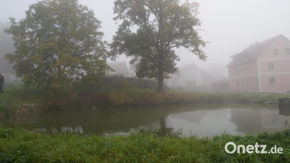 Der Weiher in Lind ist intakt, darin leben Fische und sogar eine Schildkröte. Eine Hecke hin zum Schotterplatz beim Feuerwehrhaus wird empfohlen. Bild: wel
