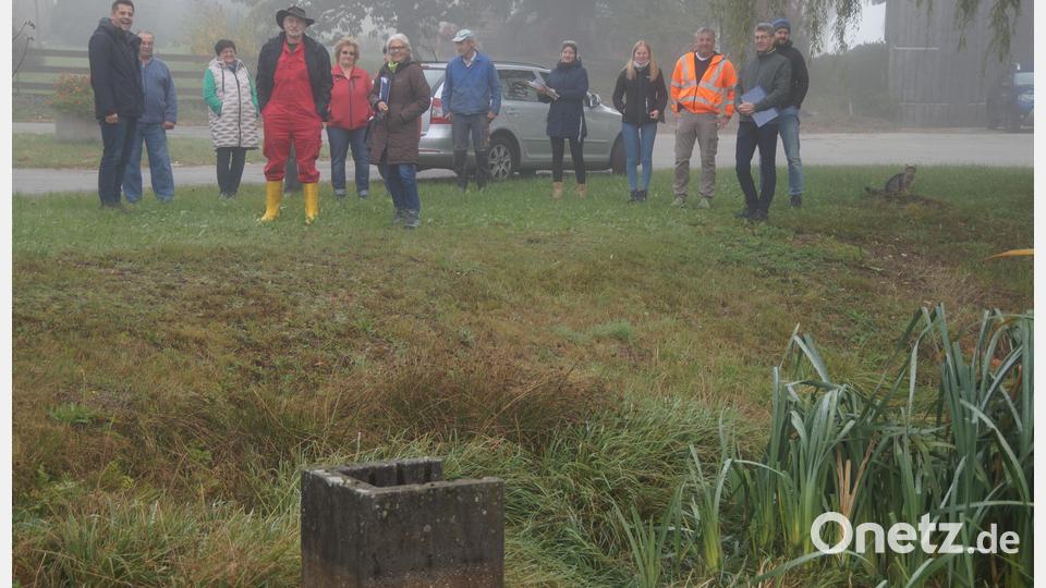 Bei dichtem Nebel trafen sich Bürgermeister Rudolf Teplitzky (links), Diplomingenieurin Anne Wendl (Sechste von links) und Markus Kurz (Zweiter von rechts) mit Mitarbeitern des städtischen Bauhofs und den Dorfbewohnern, um die Weiher zu begutachten. In Schönthan ist er total zugewuchert. Bild: wel