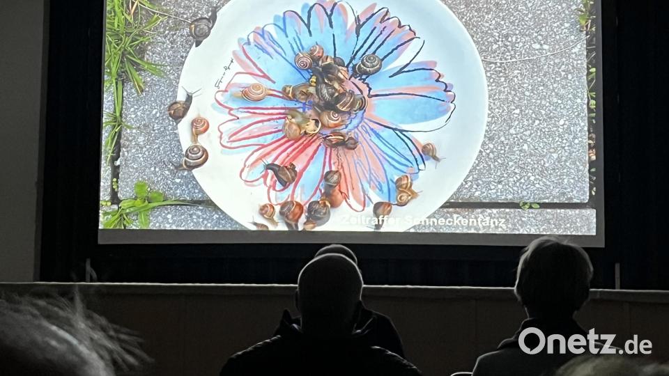 Lightpainting, Wunder der Makrowelt, Detailaufnahmen oder wie mit Zeitrafferaufnahmen Schnecken mit bunten Häuschen zum Laufen gebracht werden demonstrierte Norbert Vetter in seiner Schau die „Vielfalt der Fotografie“. Bild: mor