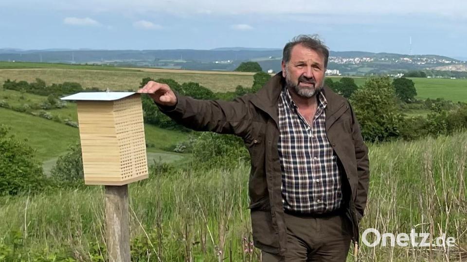 &quot;Unsere Kulturlandschaft ist eine Genusslandschaft für Mensch und Tier,“ betont Wildlebensraumberater Balduin Schönberger. Bild: Hofbauer/exb
