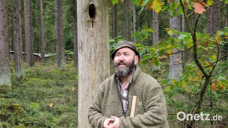 Der &quot;Woid Woife&quot;. Bild: Waldkindergarten Goldbacher Wurzelzwerge/exb
