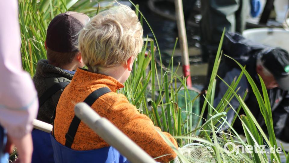 Gespanntes Warten am Teichrand, während die letzten Vorbereitungen zum Abfischen getroffen werden. Bild: Arge Fisch e.V./exb