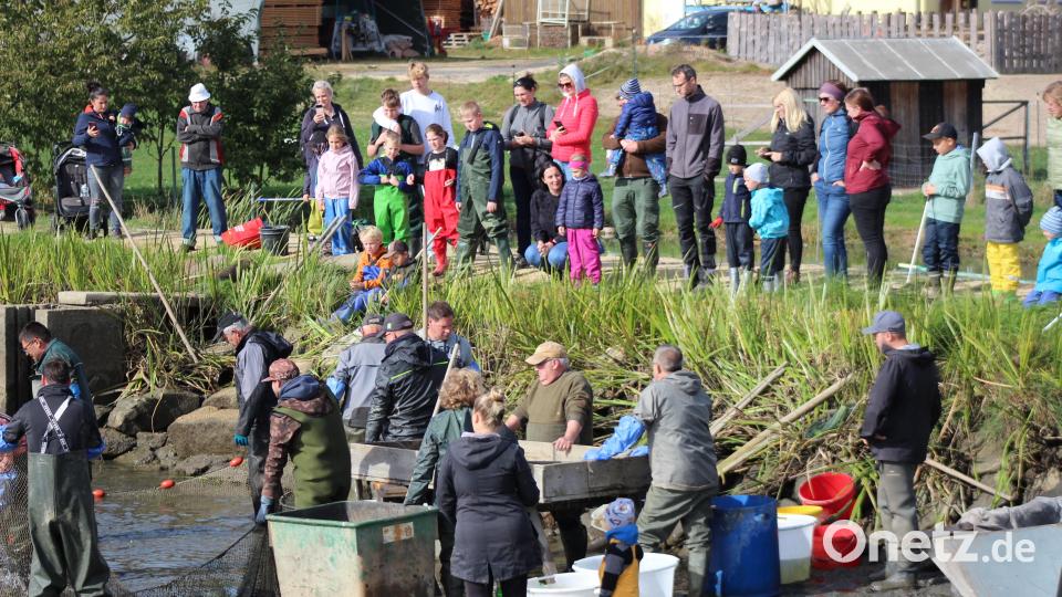Gespanntes Warten am Teichrand, während die letzten Vorbereitungen zum Abfischen getroffen werden. Bild:  Arge Fisch e.V./exb
