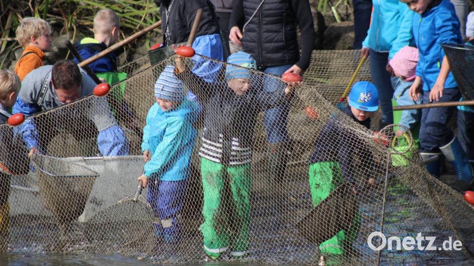 Vollen Einsatz zeigten die Kinder beim Herausfischen der Karpfen. Bild: Arge Fisch e.V./exb