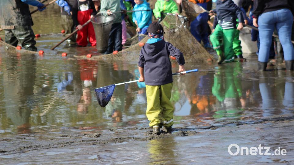 Manche Kinder beobachteten das rege Treiben lieber erst einmal genau, bevor sie selbst mit anpackten. Bild: Arge Fisch e.V. /exb