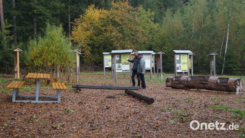 Der Waldumbau-Pavillon mit zwölf Stationen für Erwachsene und Geräten für die Kinder bietet für die gesamte Familie Erholungswert. Bild: wel