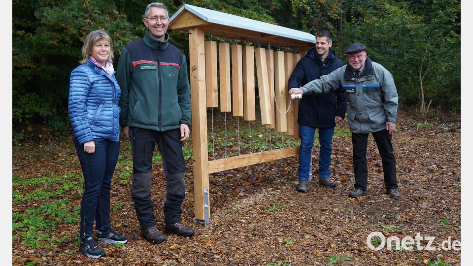 Forstdirektor Alwin Kleber und Bürgermeister Rudolf Teplitzky (von rechts) schlagen das neue Klangspiel. Auch Revierförster Markus Lobinger und Sigrid Breitschafter begrüßen die Erweiterung des Waldumbau-Pavillons mit kindgerechten Spielgeräten Bild: wel