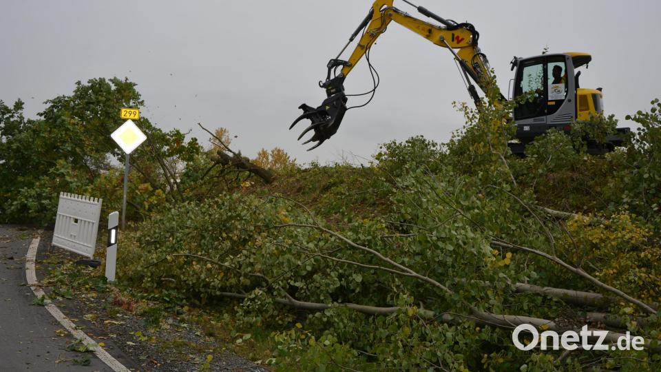 Für die Baumfäll- und Rodungsarbeiten sind Mitarbeiter des Maschinenrings mit zum Teil schwerem Gerät angerückt. Die Rodungsarbeiten gehen zügig voran. Bild: jr