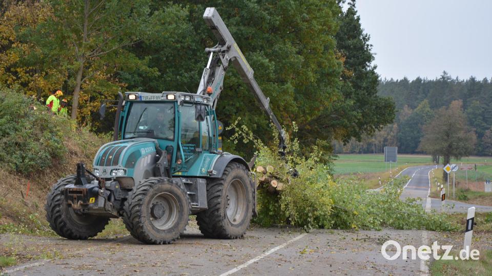 Zum Teil mit schwerem Gerät werden die Bäume abgesägt und fachgerecht entsorgt. Die Rodungsarbeiten gehen zügig voran. Bild: jr